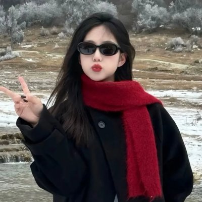 古惑仔情义篇之洪兴十三妹